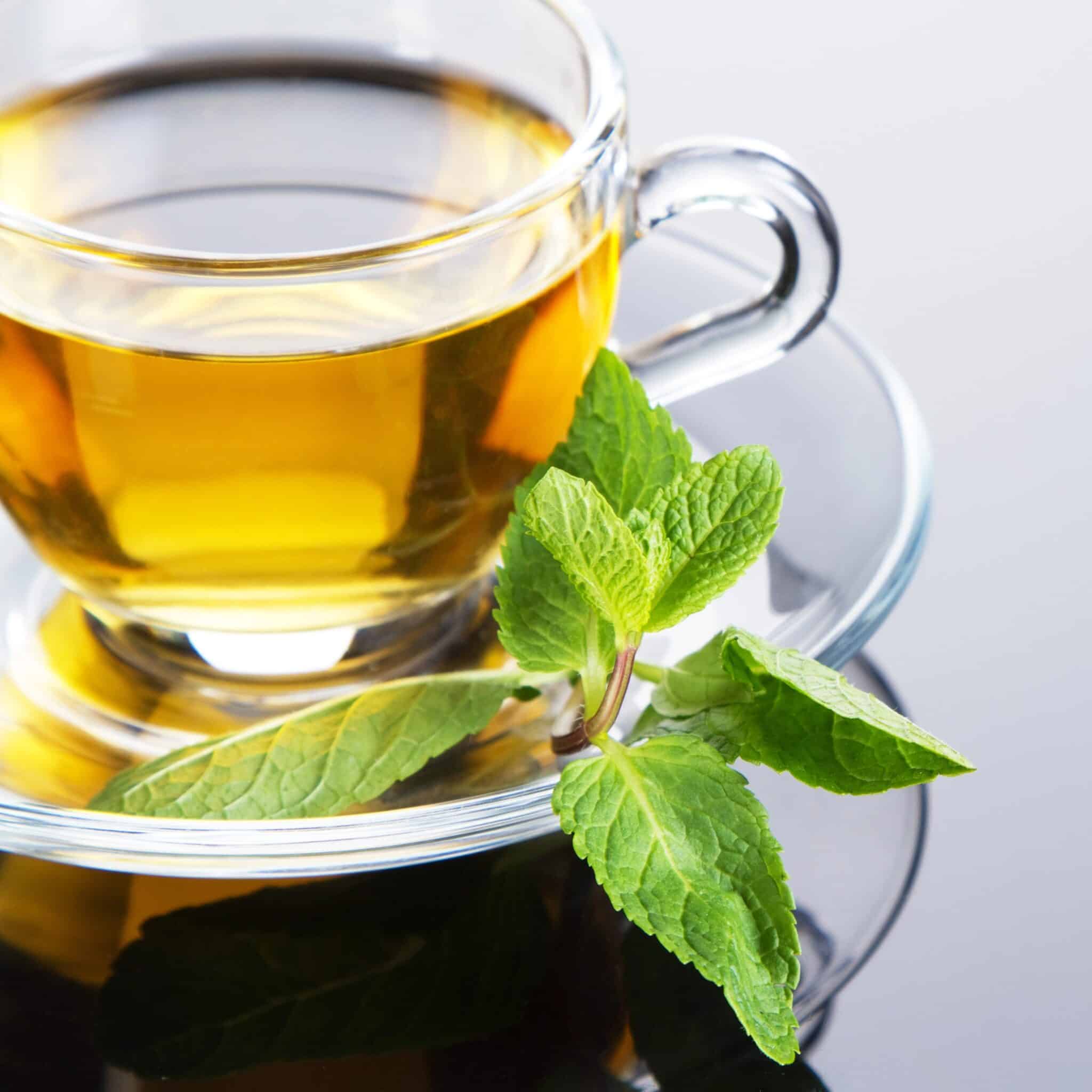 green tea with apple cider vinegar
