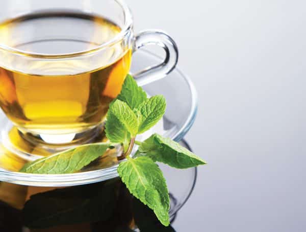 Green Tea & Apple Cider Vinegar Tonic