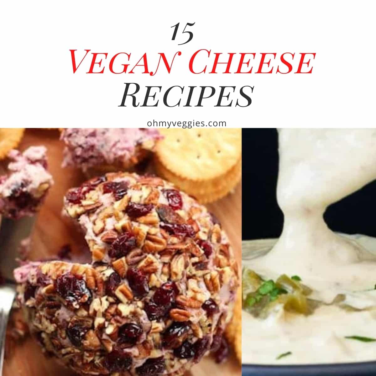 15 Irresistible Vegan Cheese Recipes | Oh My Veggies