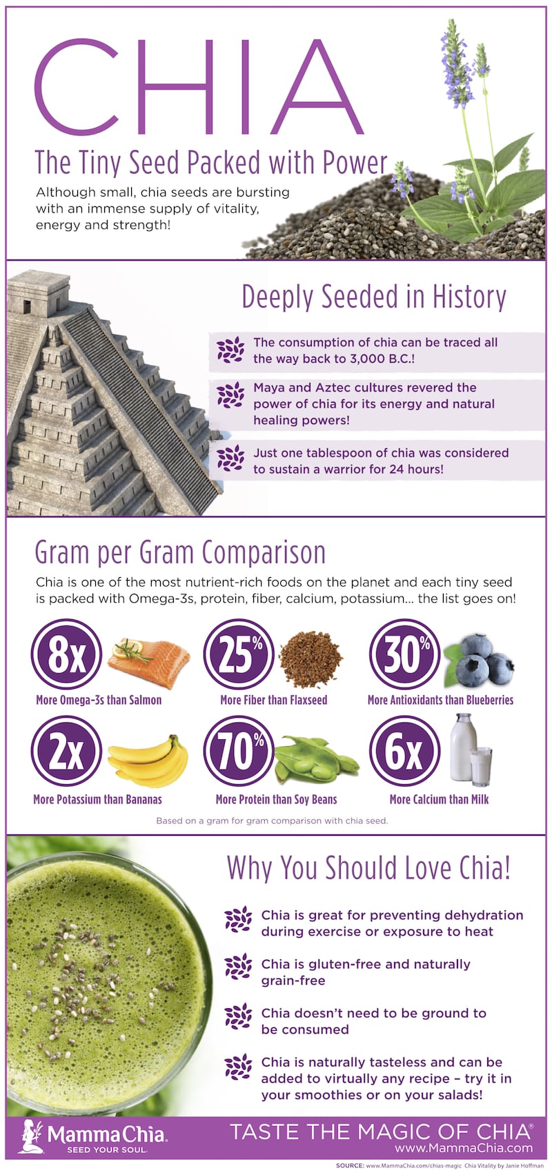 Top 5 Benefits of Chia for National Chia Day