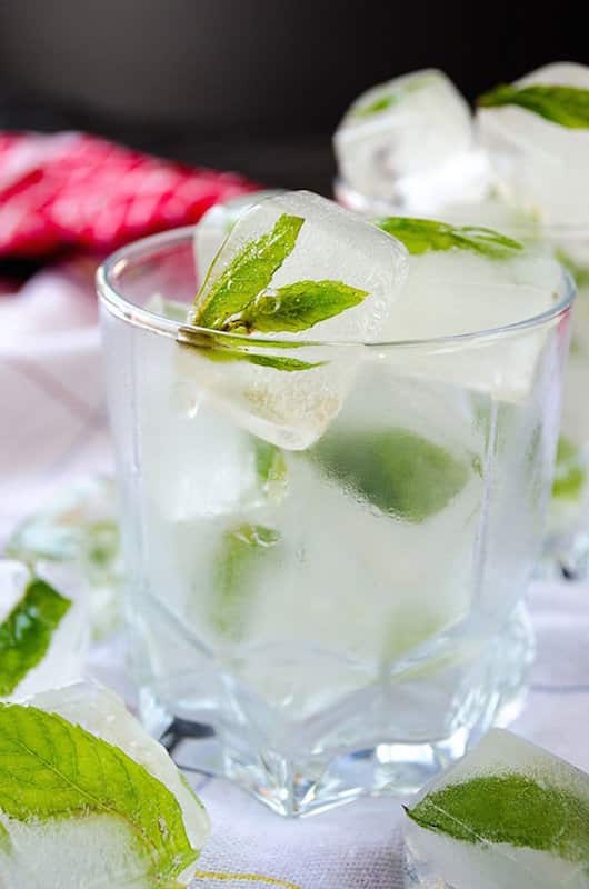 vegan ice cubes