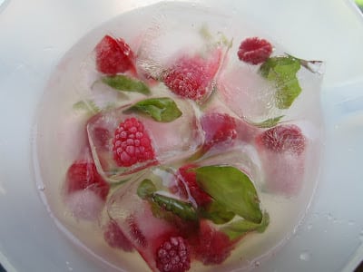 vegan ice cubes