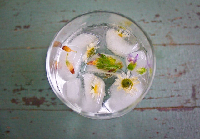 vegan ice cubes