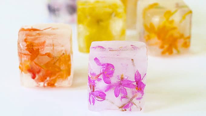 vegan ice cubes