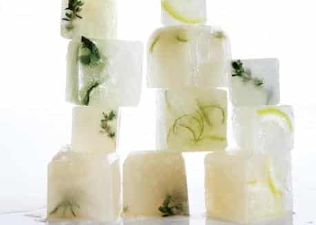vegan ice cubes