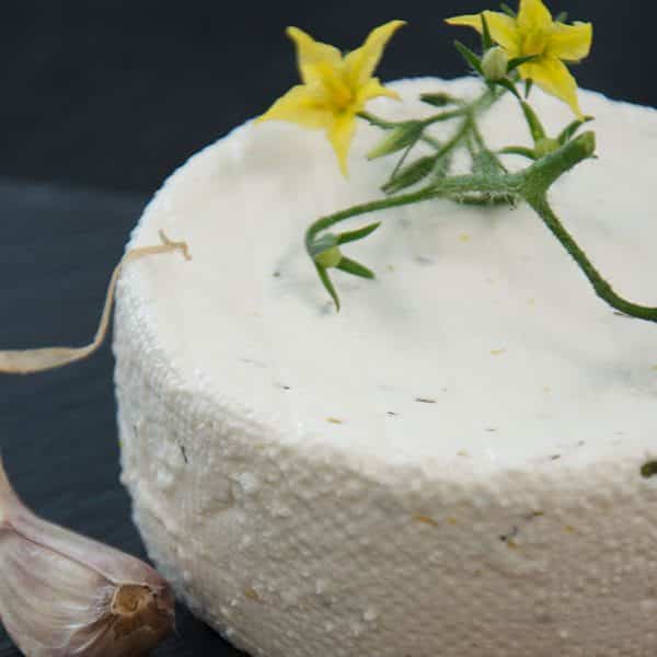 soft fresh dill chive vegan cheese kite hill