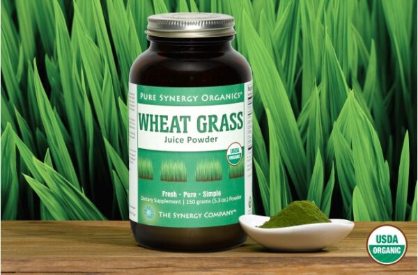 wheat grass juice powder the synergy company