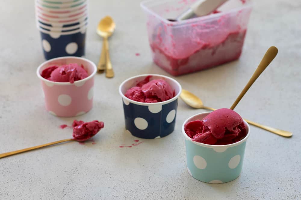 Sugar-Free Raspberry Sorbet Recipe (Only 4 Ingredients!) - The Conscious  Plant Kitchen