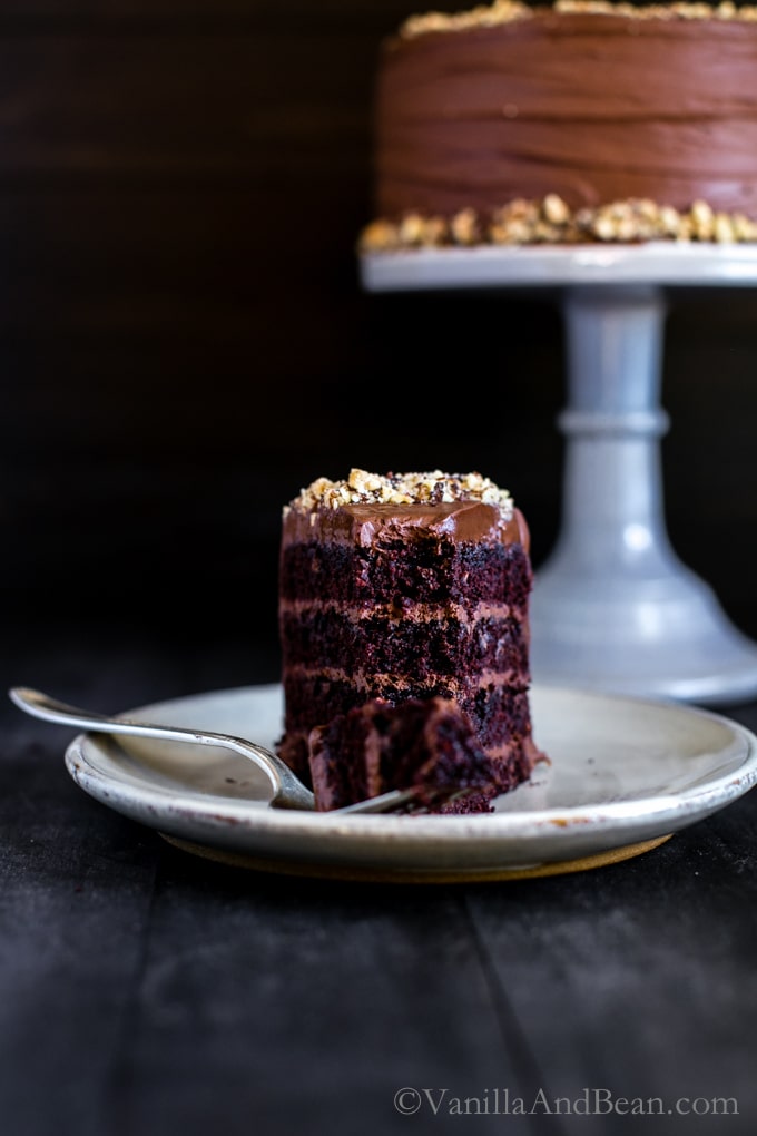 25 Drool-Worthy Chocolate Cake Recipes: Vegan Chocolate Hazelnut Cake with Whipped Ganache