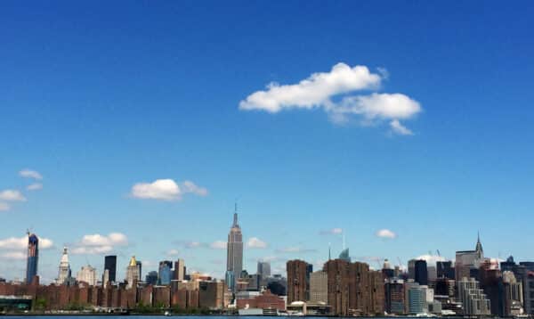 Best Vegetarian Restaurants: New York | Oh My Veggies