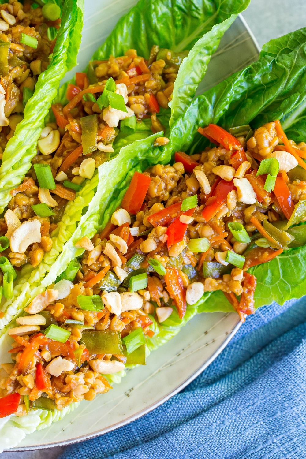 close up of Sesame Ginger Tempeh Lettuce Wraps
