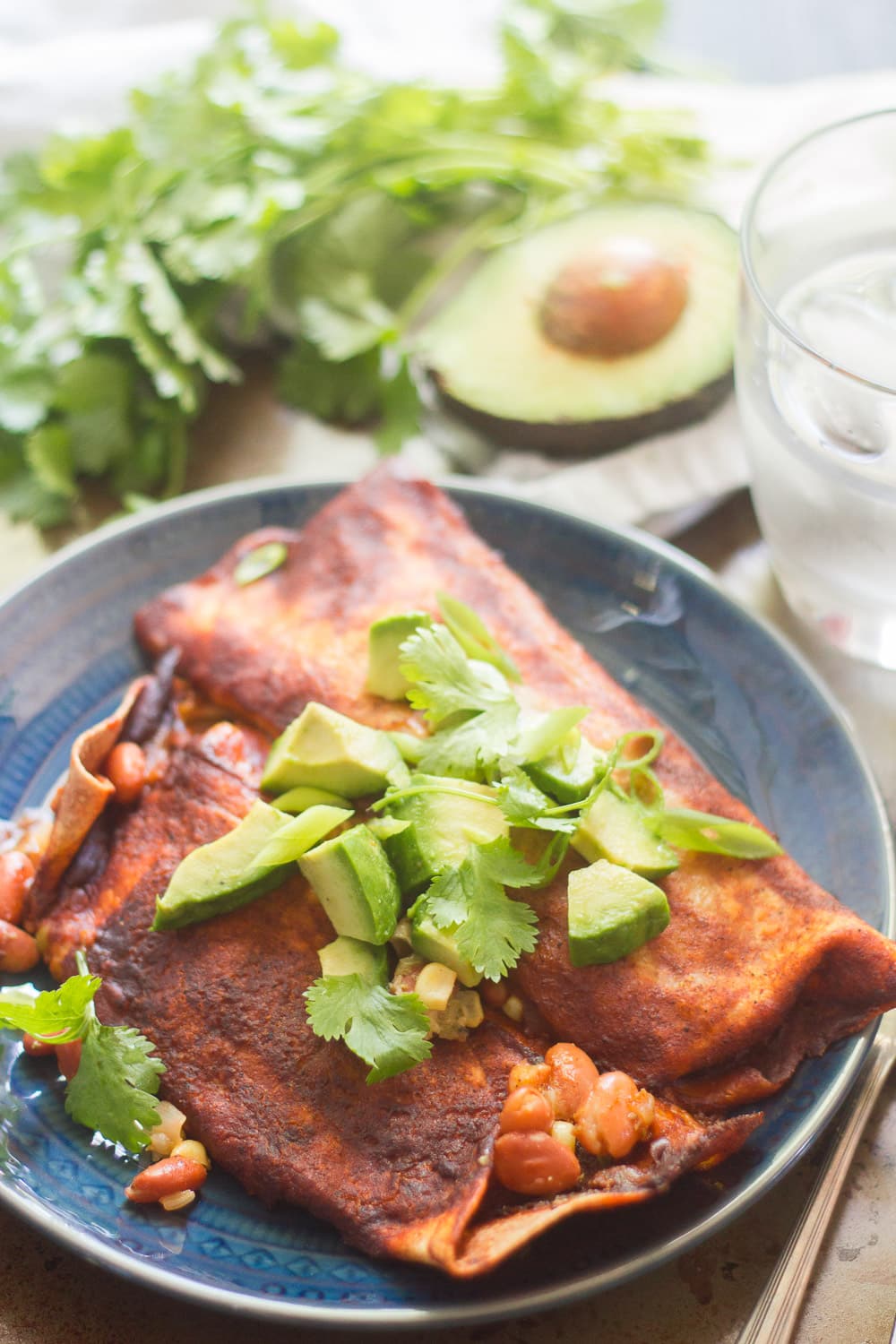 Vegan Slow Cooker Pinto Bean Enchiladas