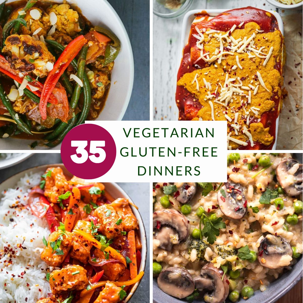 Fresh New Vegan Recipes Oh My Veggies 