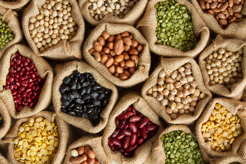 A Guide to Legumes