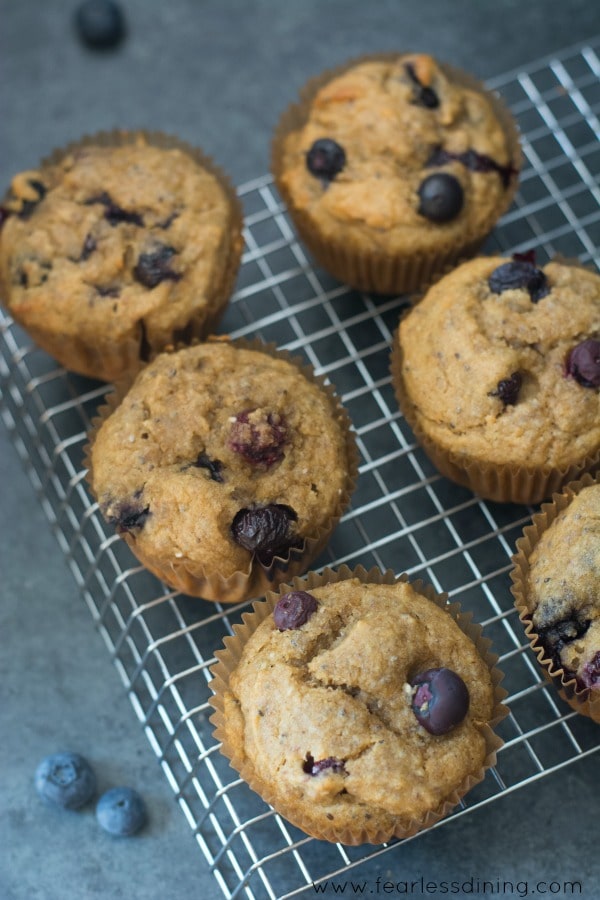 18 Flours You Haven't Tried But Definitely Should: Cashew Muffins