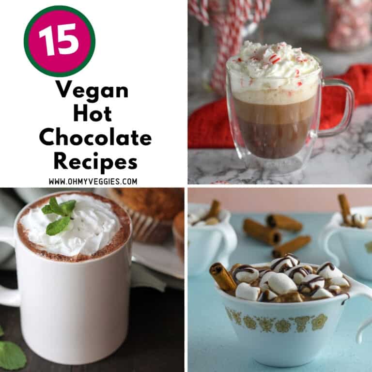 15 Vegan Hot Chocolate Recipes Everyone Will Love Oh My Veggies!