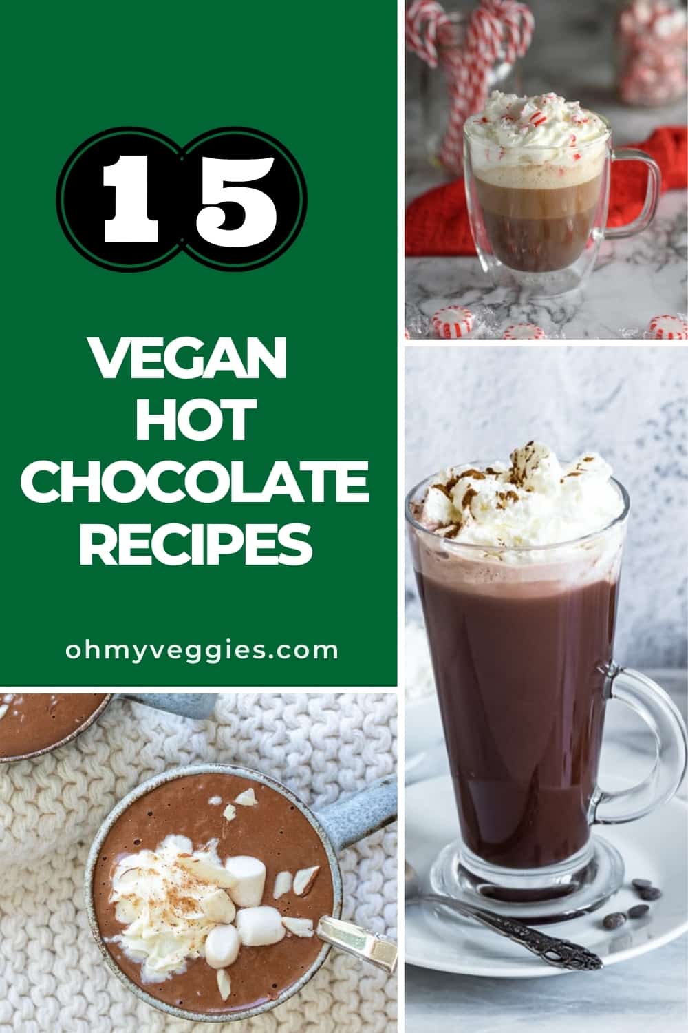 15 Vegan Hot Chocolate Recipes Everyone Will Love Oh My Veggies!