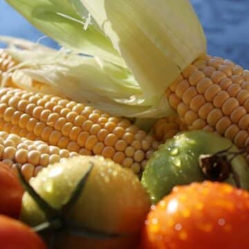 can you eat raw corn