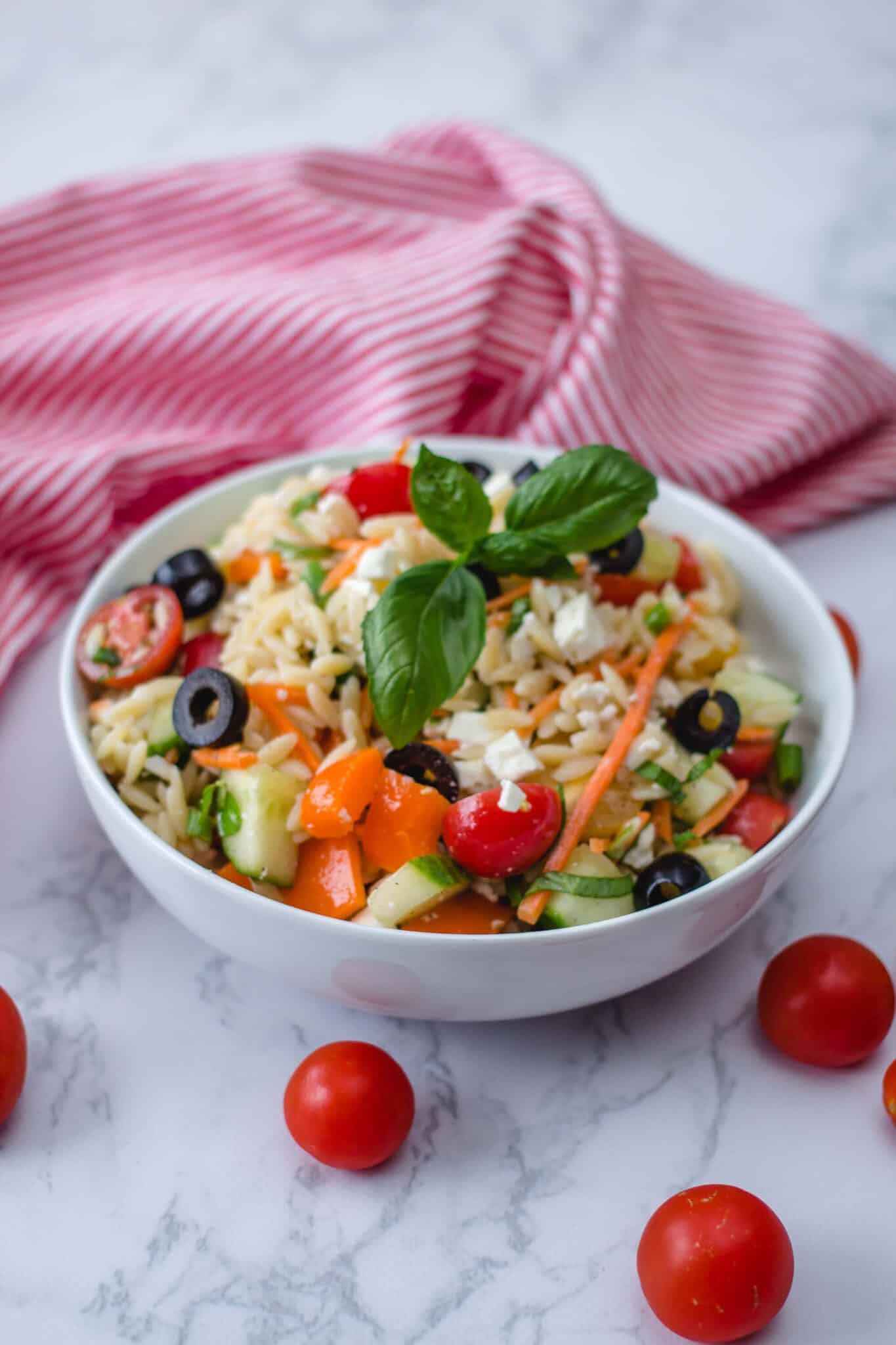 Vegetarian Colorful Orzo Salad