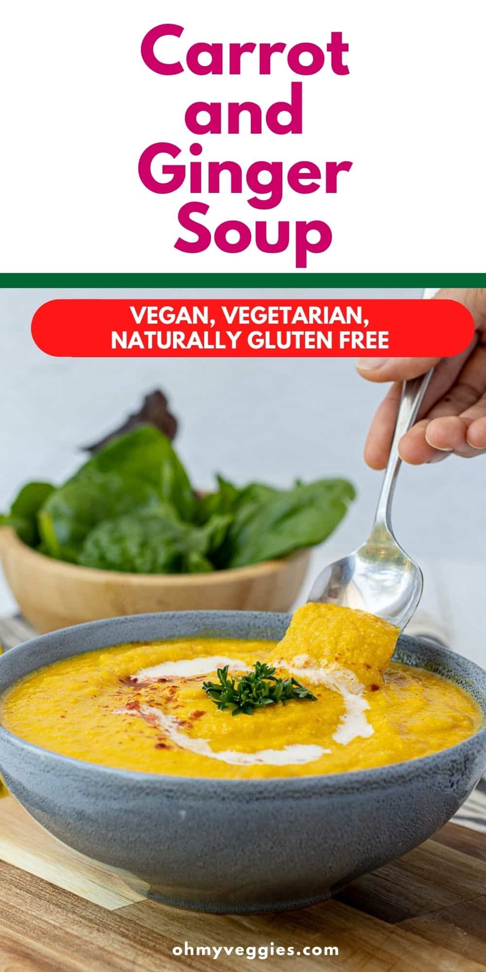 vegan carrot ginger soup