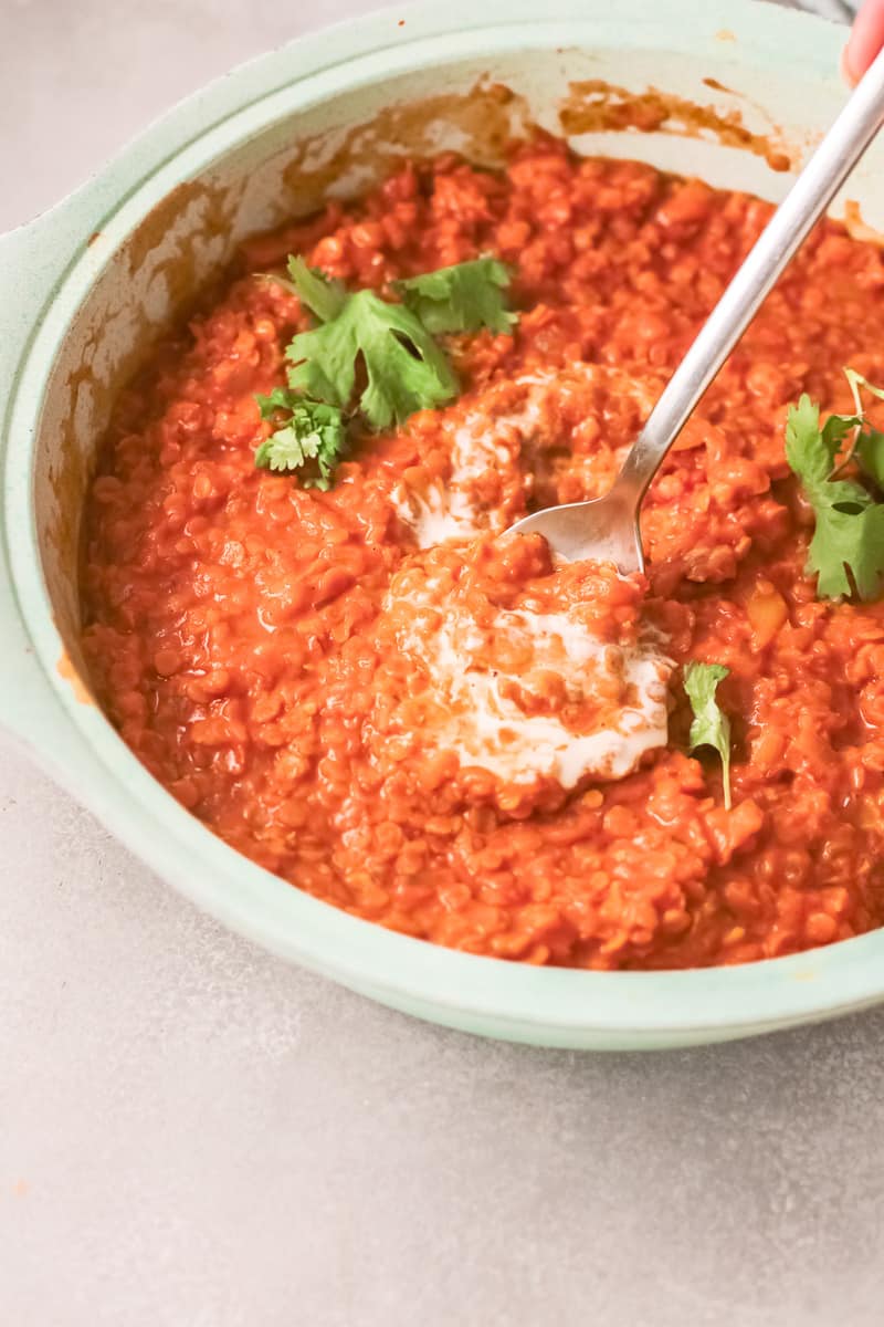 Red Lentil Curry | Easy Vegan Curry | Oh My Veggies