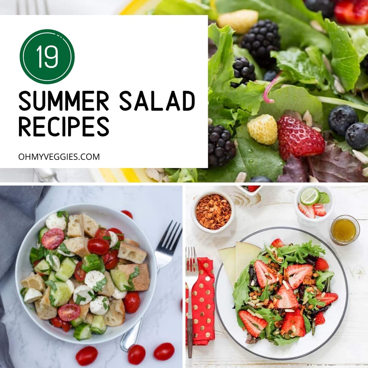 Summer Salad Recipes