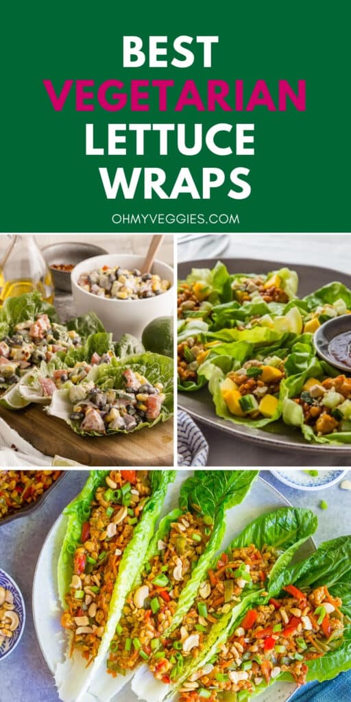 lettuce wrap recipes