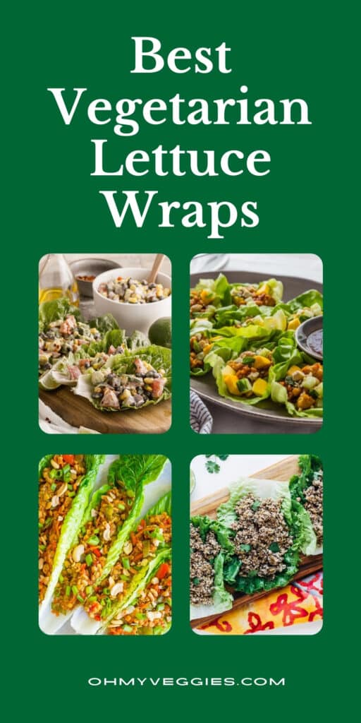 lettuce wrap recipes