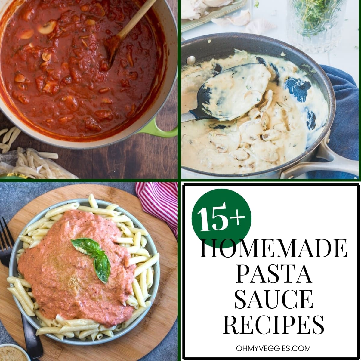 15+ Tasty Homemade Pasta Sauce Recipes | Oh My Veggies