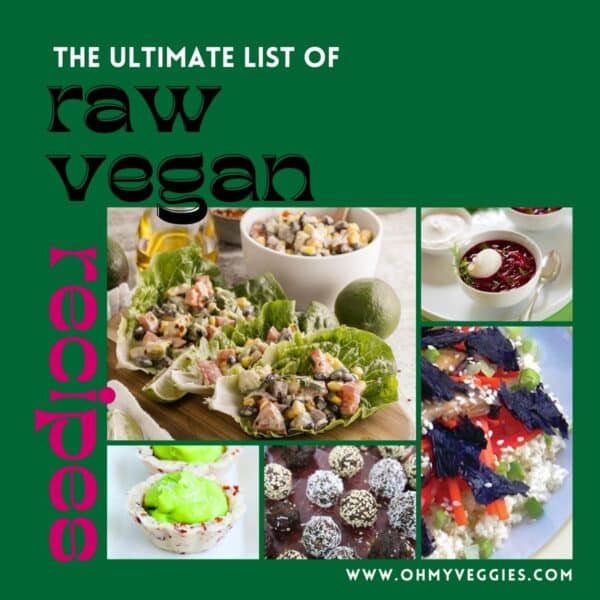 Vegan Recipes - Oh My Veggies