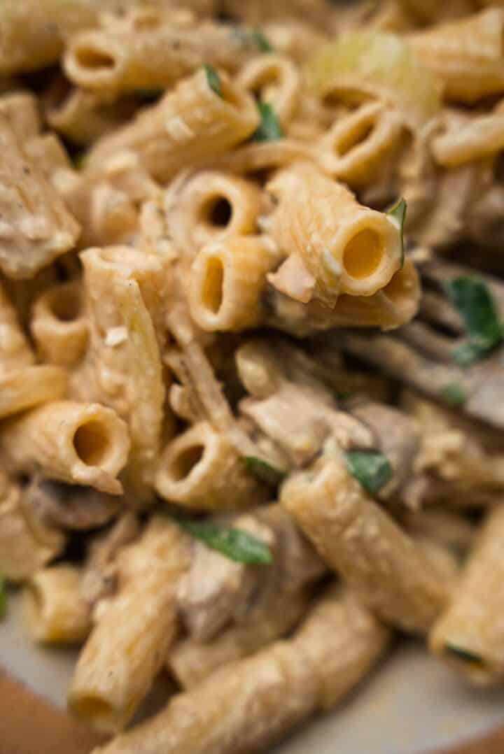Bowl of vegan pasta with a creamy sauce