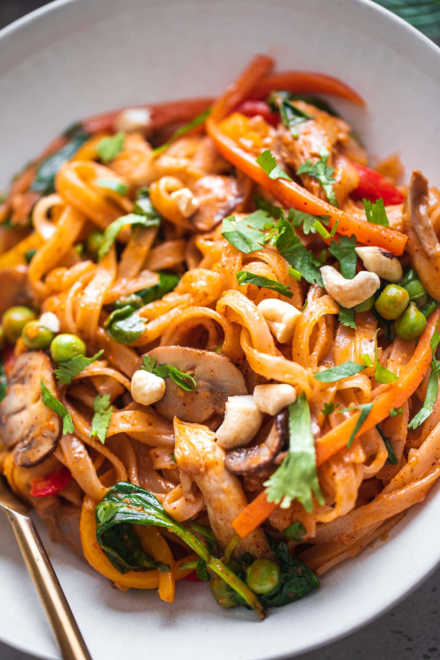 Closeup of stir-fried noodles with vegetables and coconut sauce