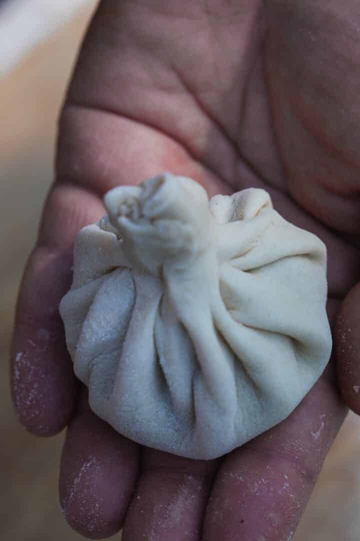 Hand holding a small dumpling