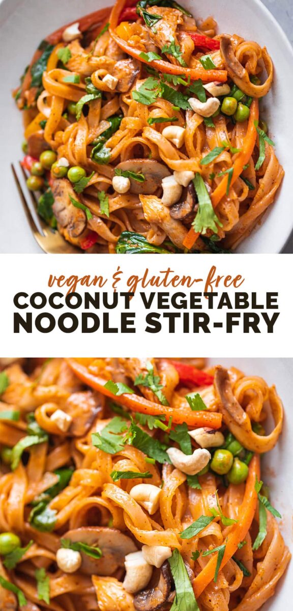 Vegan coconut vegetable noodle stir-fry