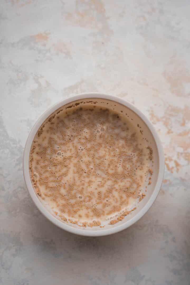 Yeast mixture in a bowl