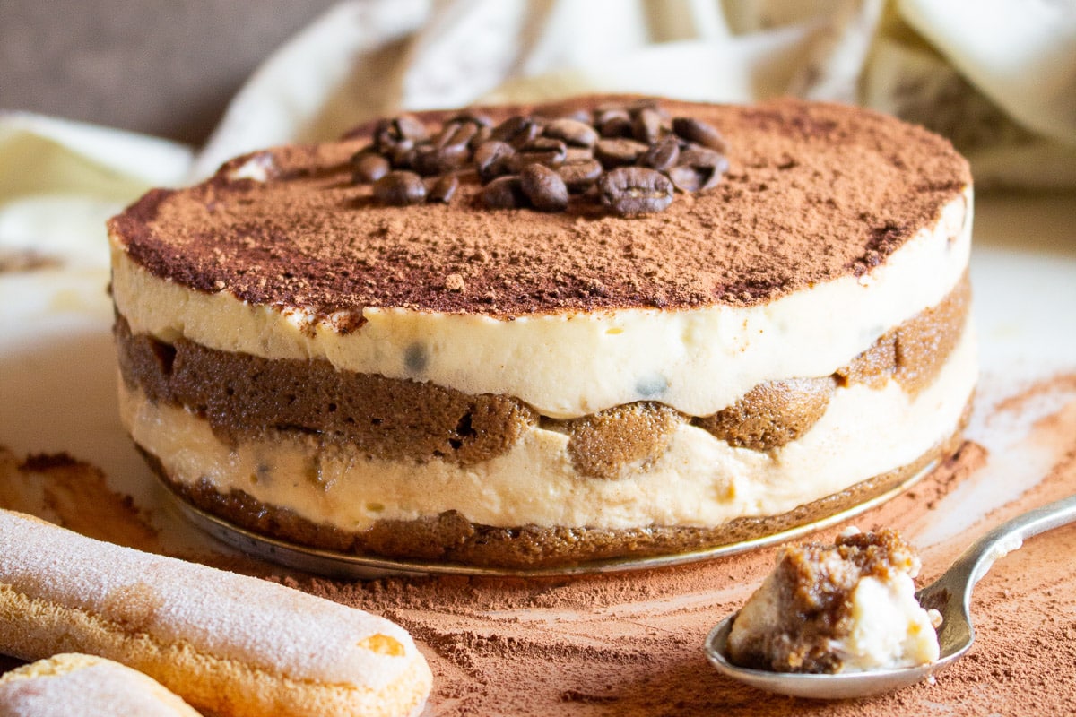 entire best homemade tiramisu on springform pan base next to metal spoon