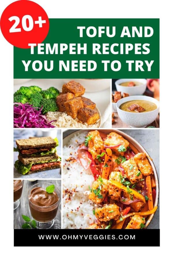 recetas de tofu y tempeh