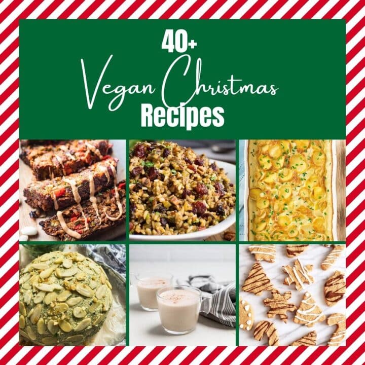 40+ Vegan Christmas Recipes - Oh My Veggies