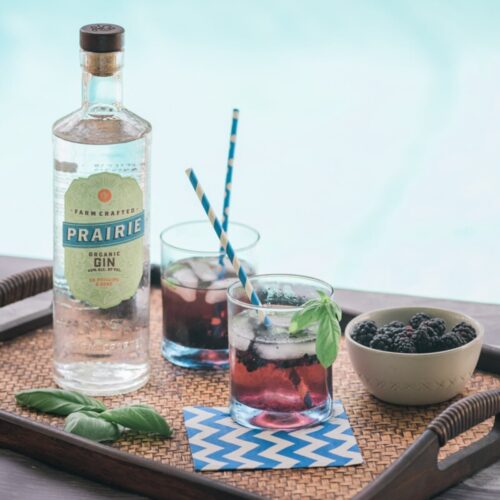 Blackberry-Ginger Gin Cocktail: Easy Summer Drink - Oh My Veggies