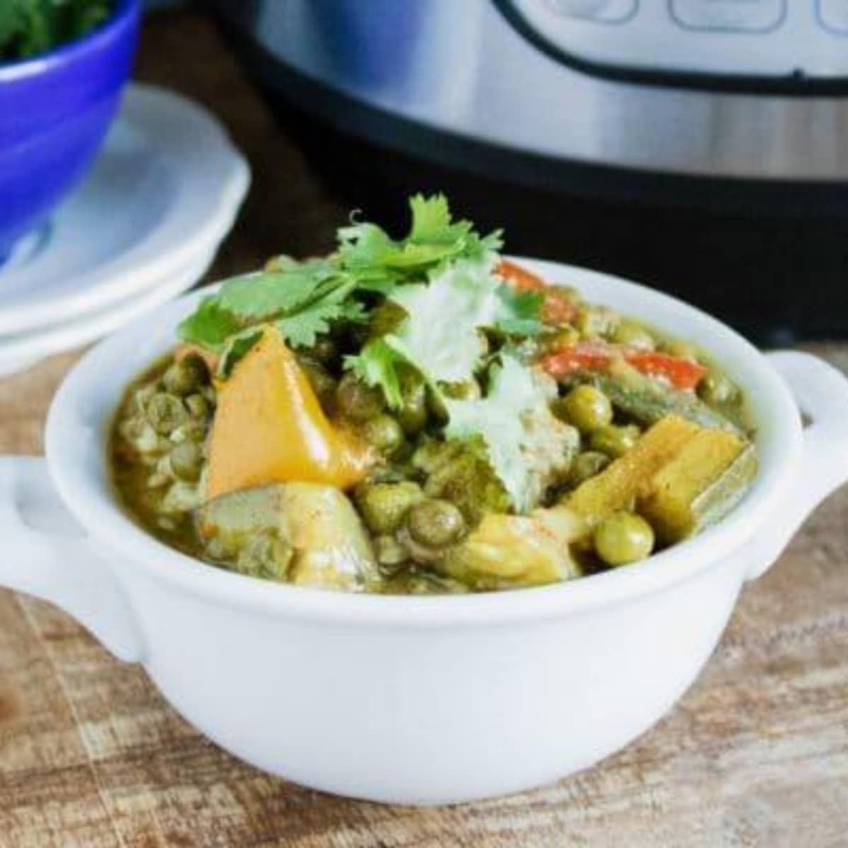 Instant pot 2025 veg curry