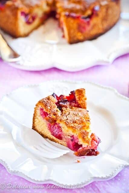 Marian Burros Plum Torte