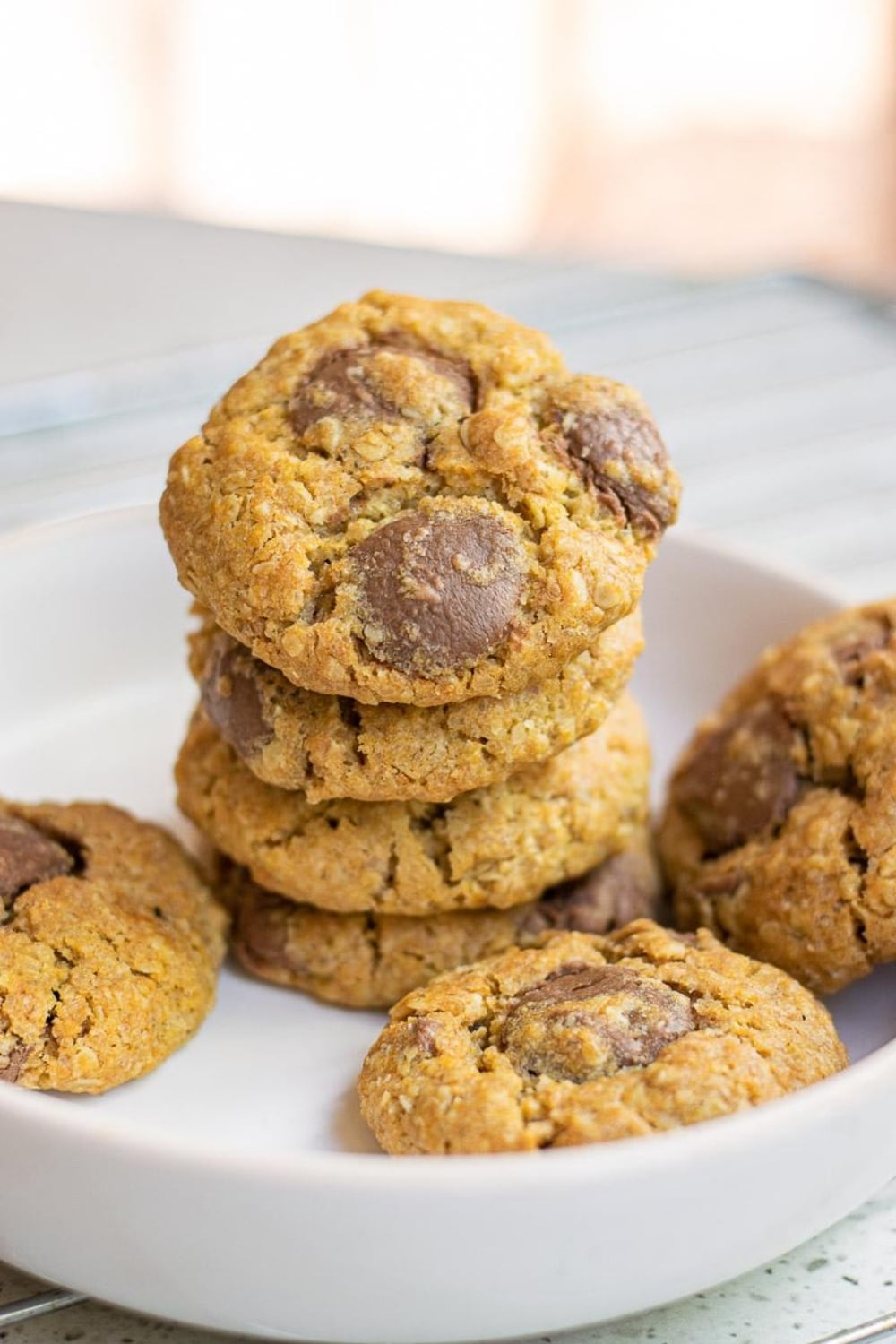 vegan oatmeal chocolate chip cookies