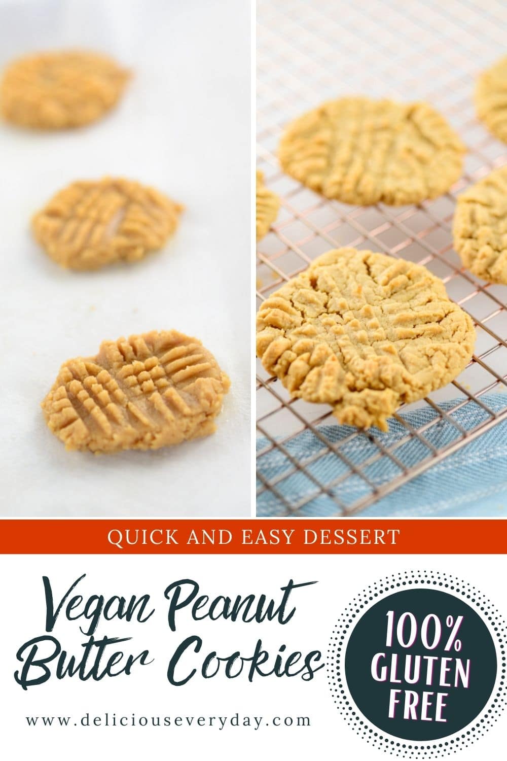 vegan peanut butter cookies (gluten-free)