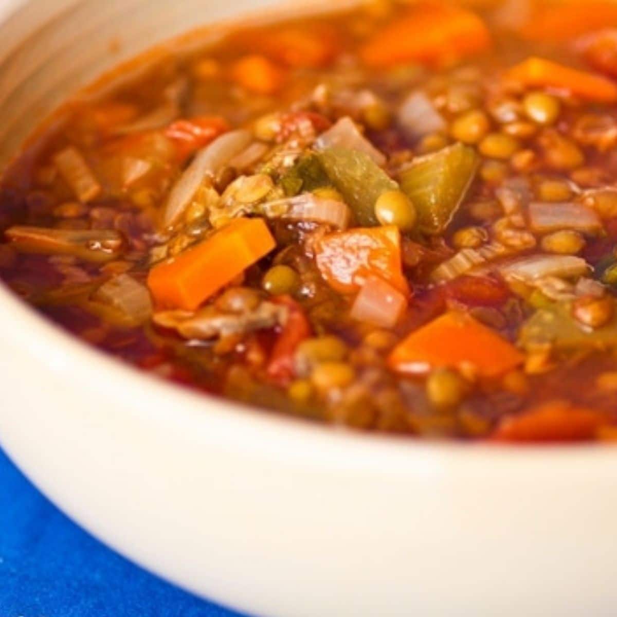 Vegetable and Lentil Soup