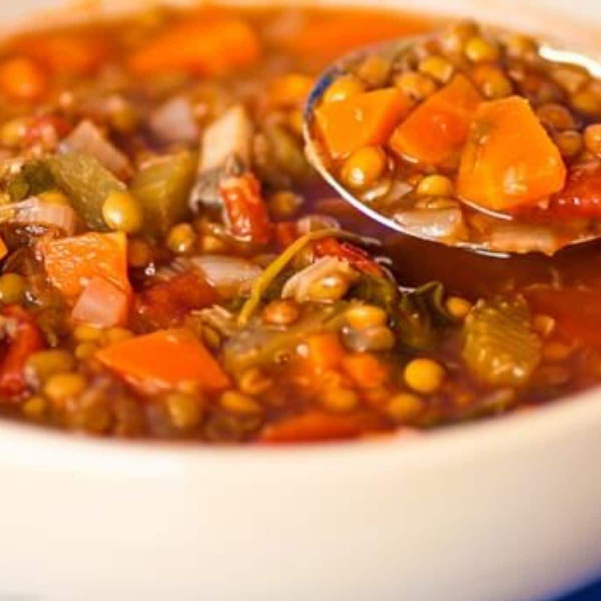 Vegetable and Lentil Soup