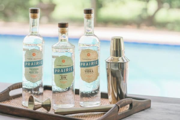 gin and vodka bottles on a tray by the pool