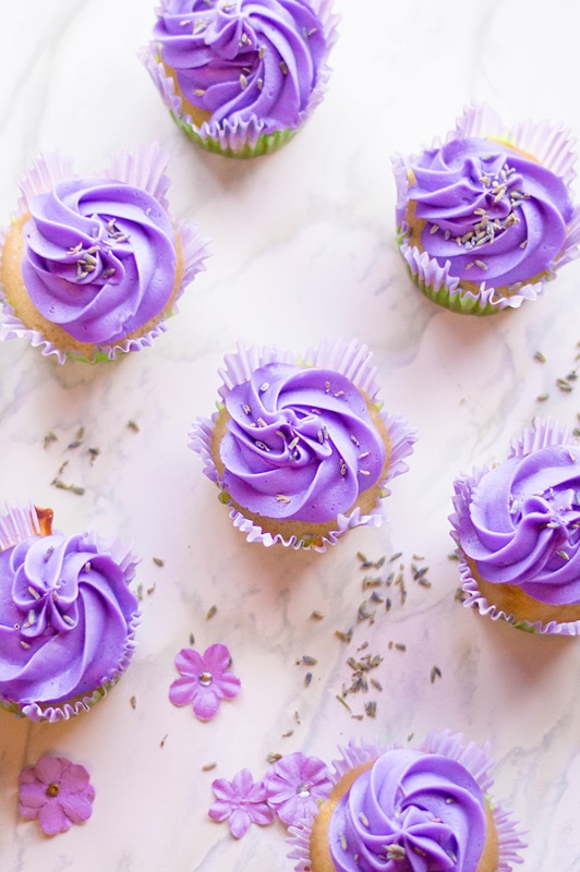 pretty buttercream cupcakes