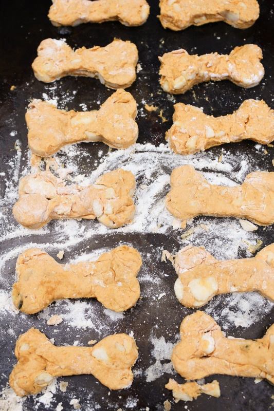 pumpkin dog treats vegan