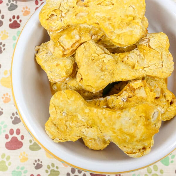 pumpkin dog treats vegan