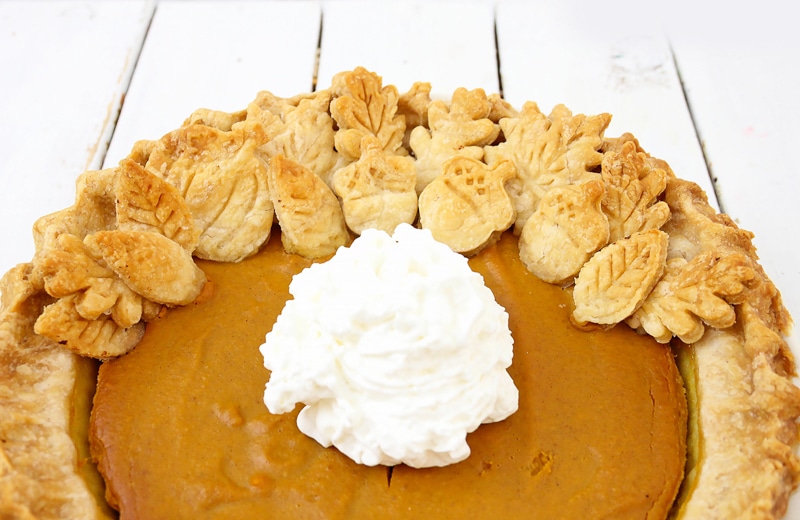 best pumpkin pie